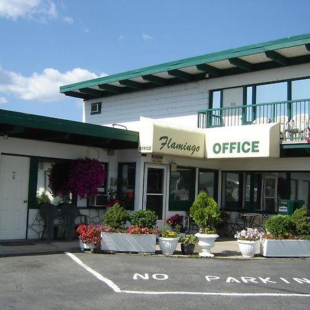 Flamingo Motel เพนทิกตัน ภายนอก รูปภาพ