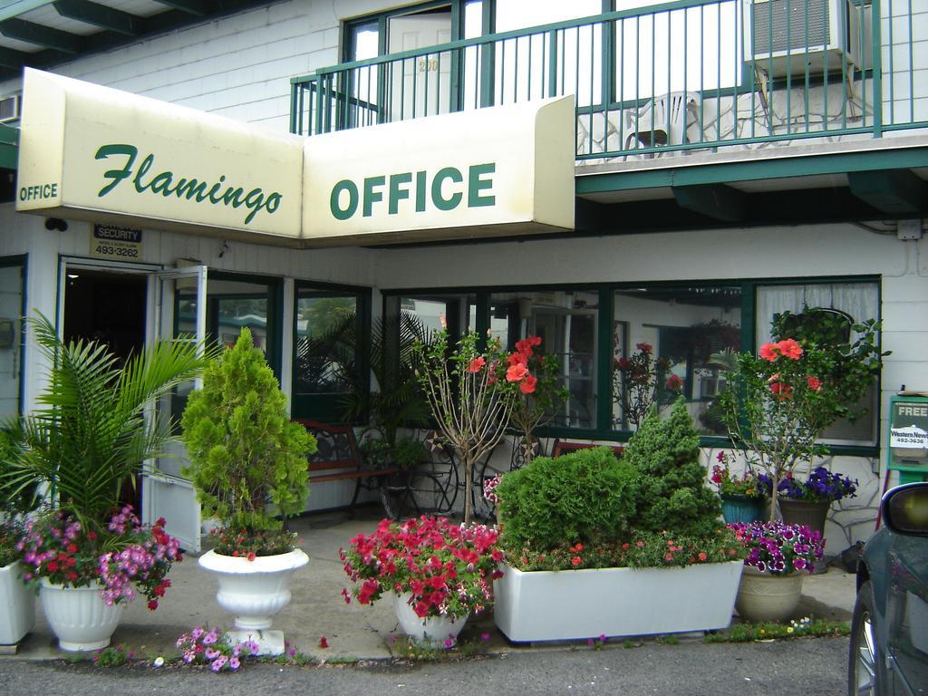 Flamingo Motel เพนทิกตัน ภายนอก รูปภาพ