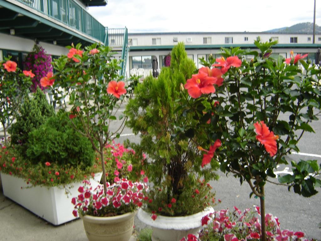 Flamingo Motel เพนทิกตัน ภายนอก รูปภาพ