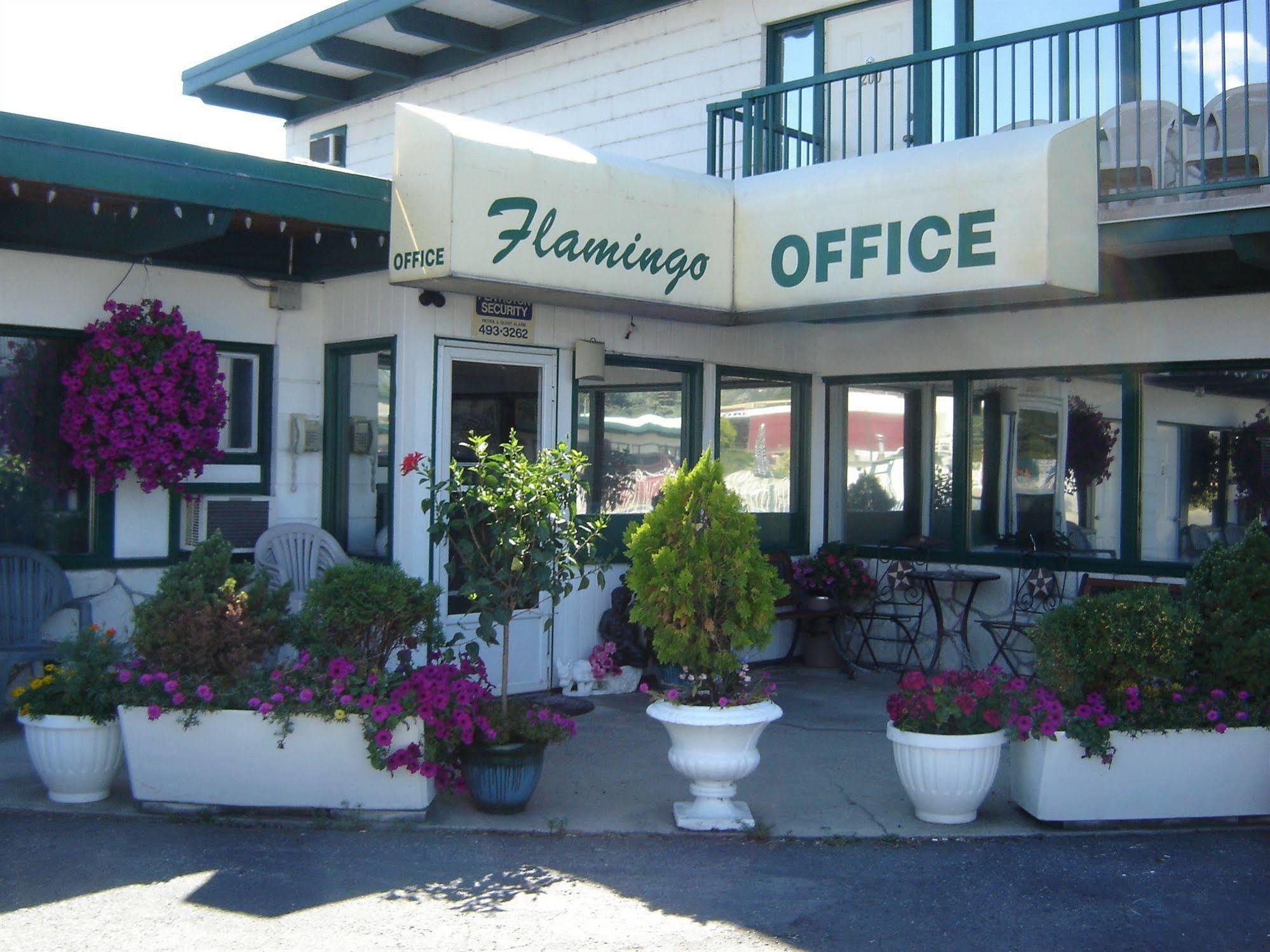 Flamingo Motel เพนทิกตัน ภายนอก รูปภาพ